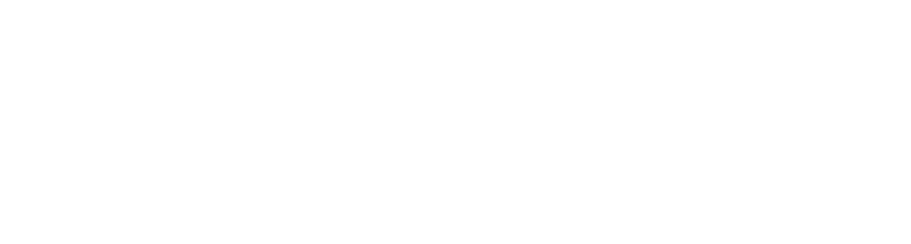 DYNAMIC ear filter – B2B