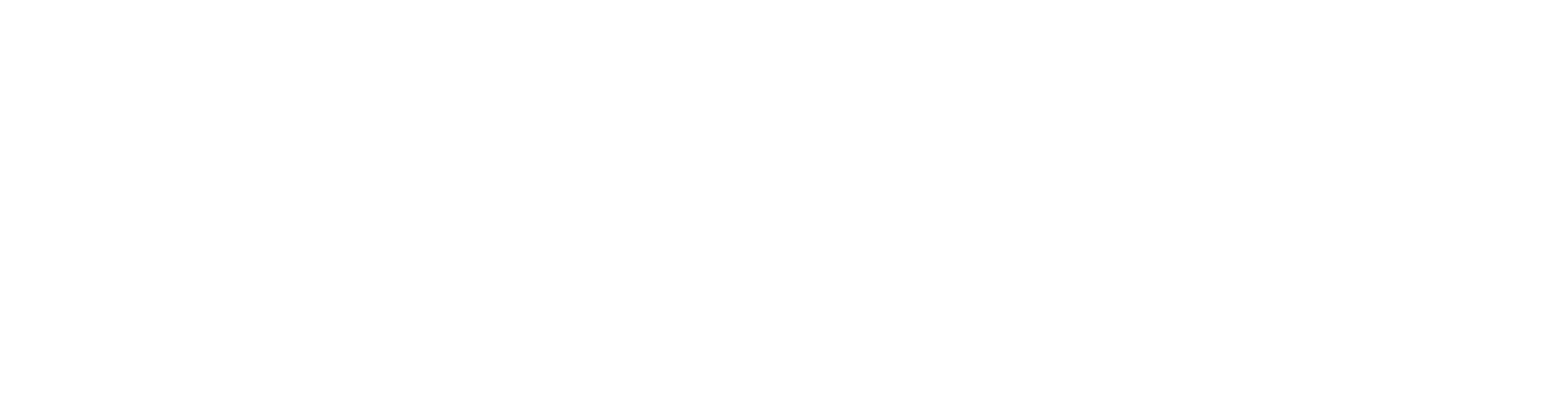 Dynamic Ear filter USA